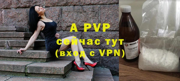 шишки Магадан