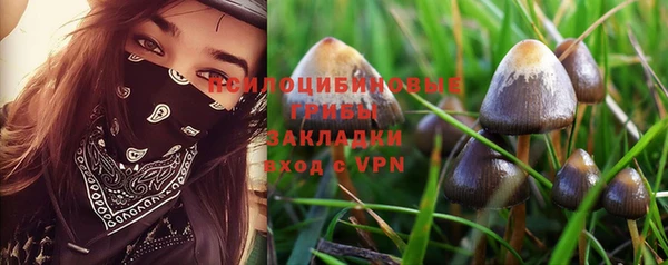 марки lsd Липки