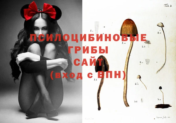 бутират Магас