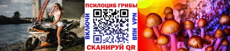 Псилоцибиновые грибы MAGIC MUSHROOMS Бирюсинск