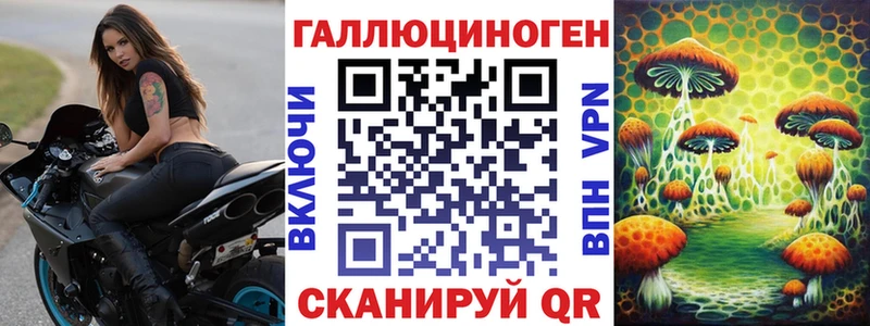 Псилоцибиновые грибы Cubensis  Купить  Бирюсинск 